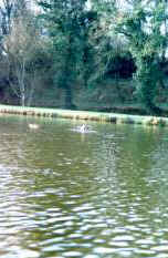 le lac de Plabennec